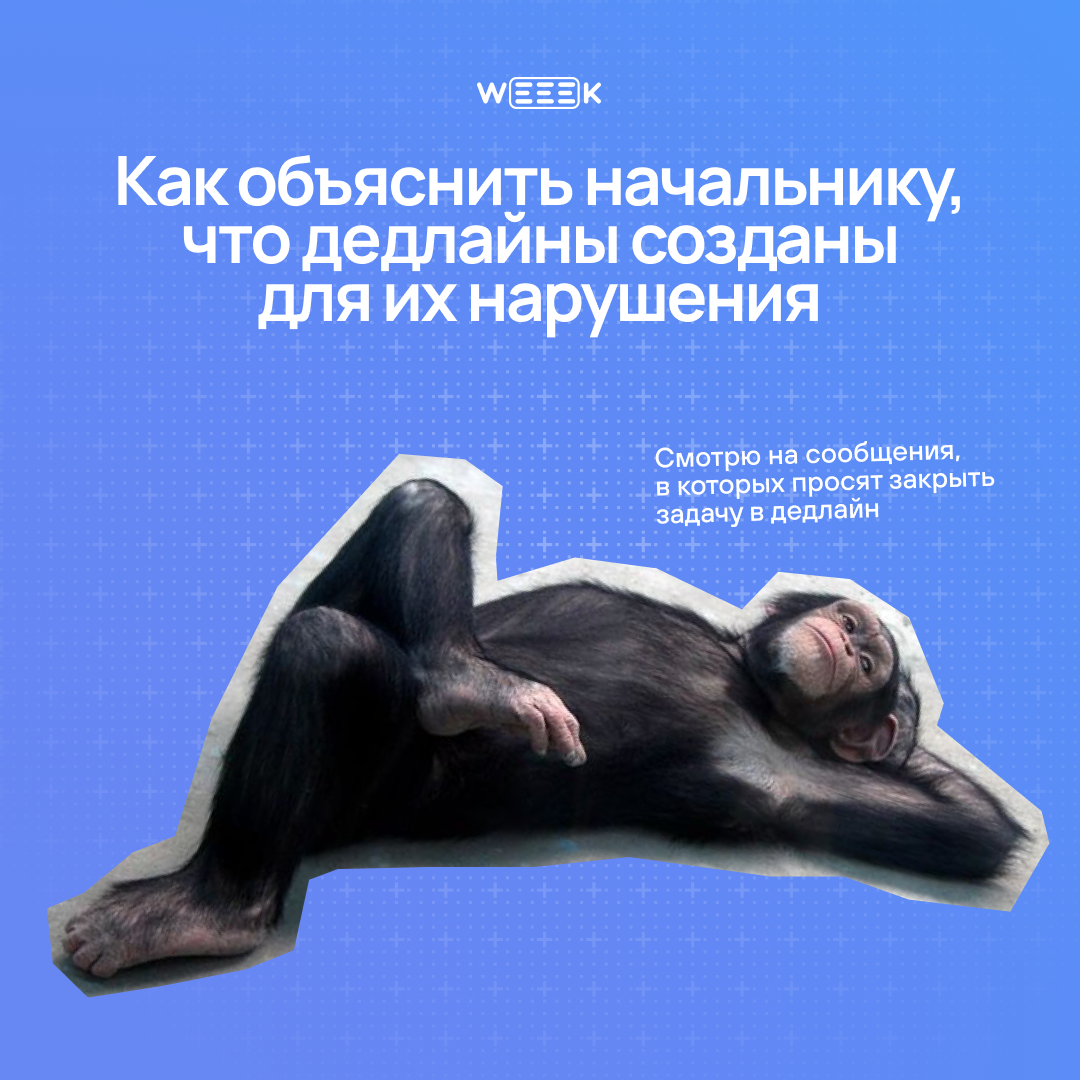 Когда дедлайн горит, а ты стоишь с огнетушителем из отмазок. 🧯 Карточки-антиинструкция: как убедить начальника, что дедлайны — выдумка, а творческому хаосу нужна свобода | Сетка — социальная сеть от hh.ru