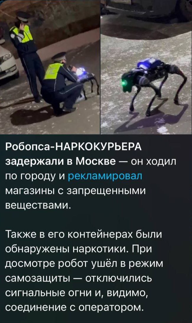 Киберпанк, который мы не заслужили
🚀@itaxaxa | Сетка — социальная сеть от hh.ru