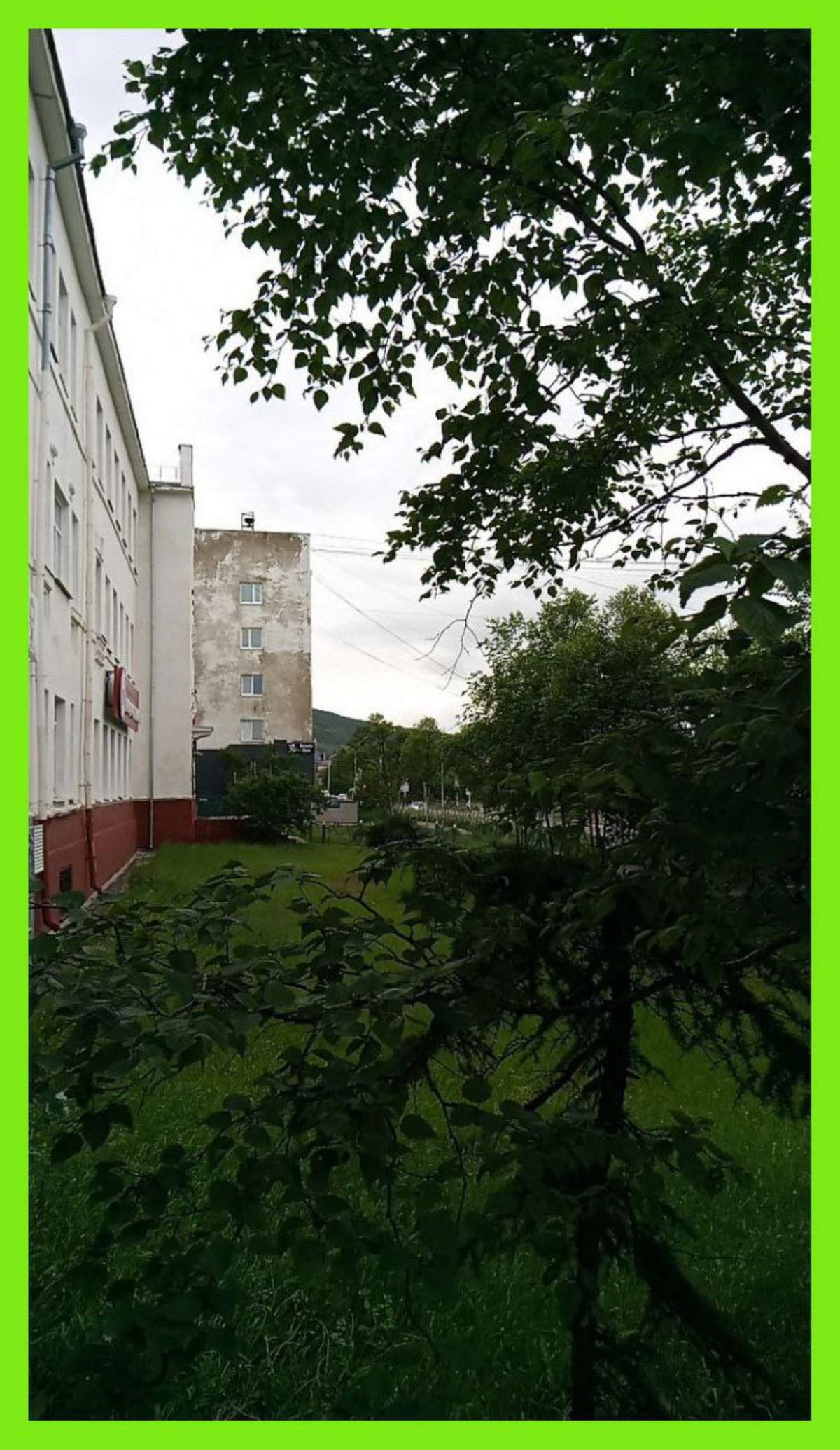 Зеленей ещё в 100 больше, любимый Магадан! / More vegetation, oh beloved Magadan! | Сетка — социальная сеть от hh.ru