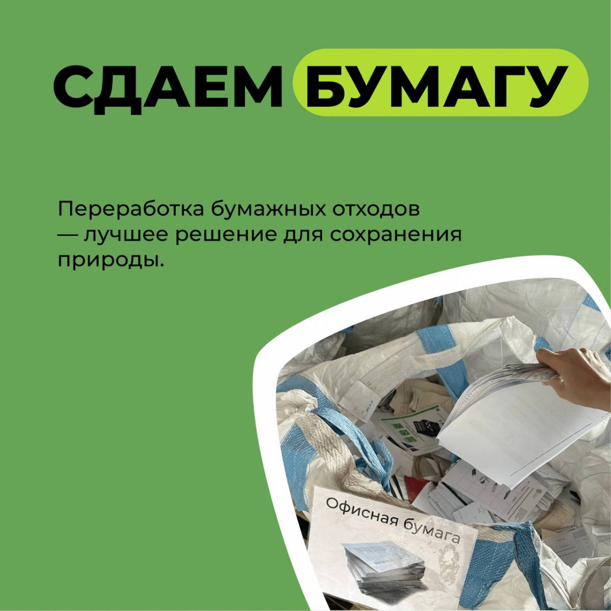 Сибсети делают свой вклад 💪🏻
Мы уже несколько месяцев активно отвозим макулатуру 📝и пластиковые крышечки, которые наши ребята сдают в офисе 🤩
"На сбор макулатуры «БумБатл» откликнулись люди по всей Ро... | Сетка — социальная сеть от hh.ru