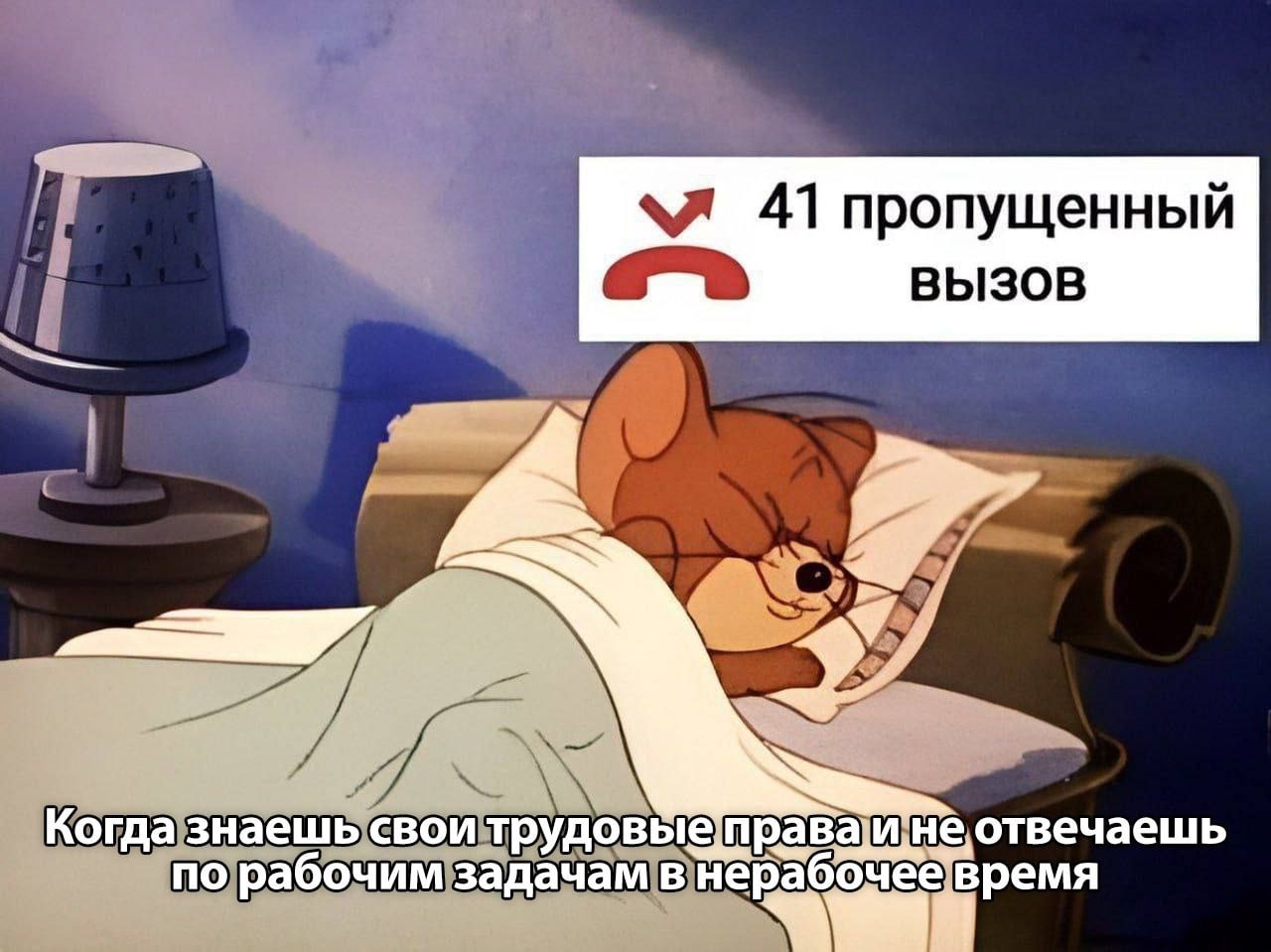 ➡️ отправь в телеге мем коллеге | Сетка — социальная сеть от hh.ru