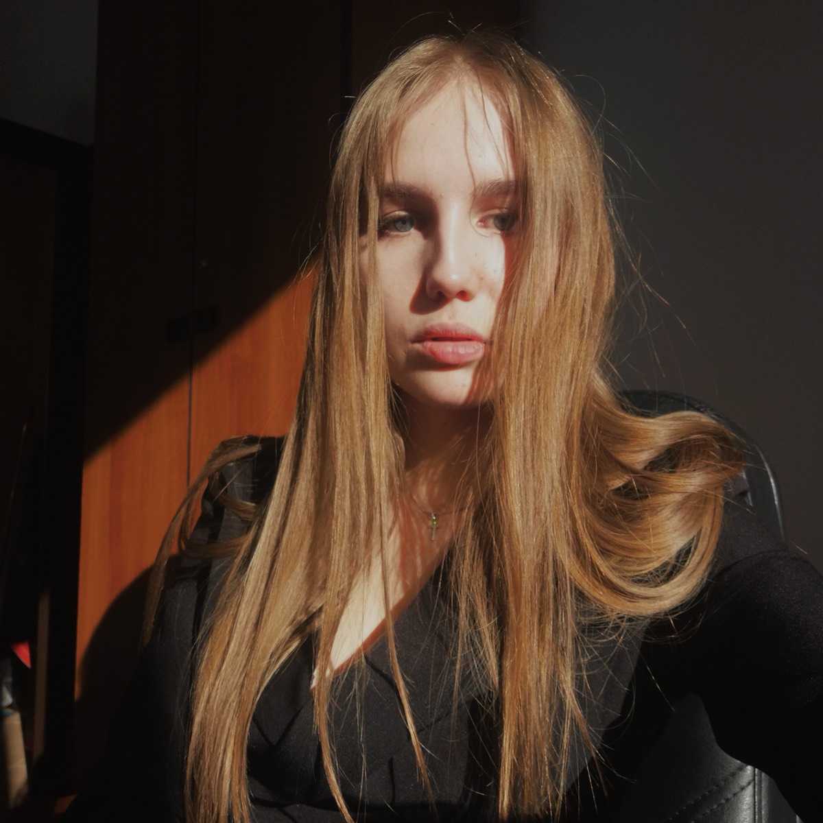 Елена Стешина