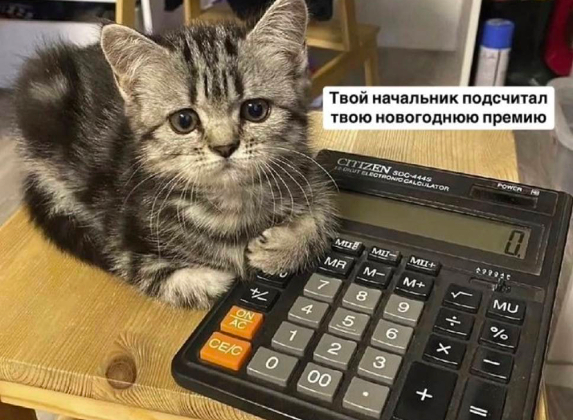 Главное чтобы не новогодняя | Сетка — социальная сеть от hh.ru