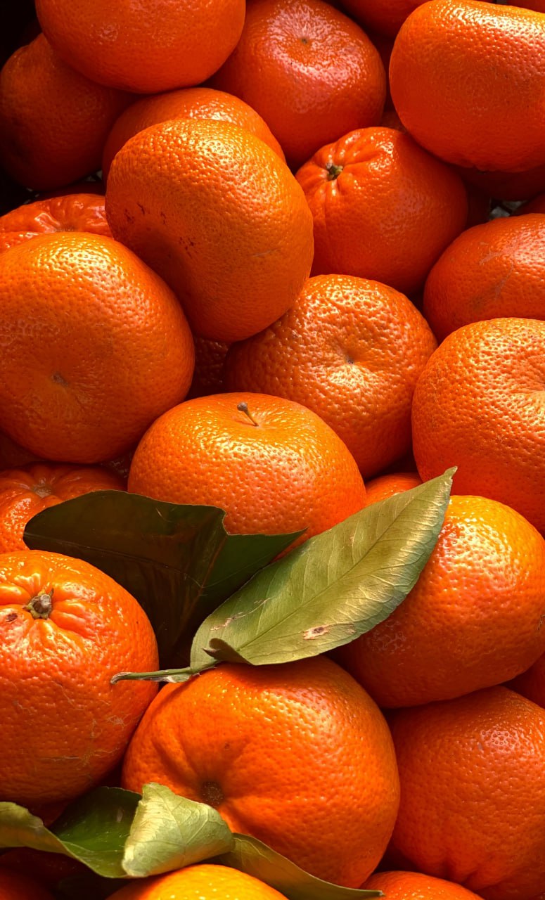 🍊Флешмоб Дедов Морозов, угощение мандаринами и согревающим глинтвейном
21 декабря 13:00-18:00
В честь открытия будет:
🔸Танцевальный флешмоб Дедов Морозов
🔸Мастер-классы по созданию новогодних поделок ... | Сетка — социальная сеть от hh.ru