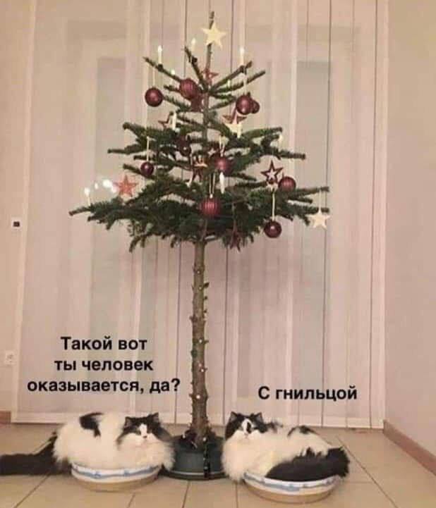 Собрали все посты недели в один:
➡️ модели профессий и компетенций для специалистов в сфере ИИ
➡️ Отчет Expat Insider 2024 от InterNations
➡️ ОАЭ стали самым привлекательным рынком труда в мире
➡️ рес... | Сетка — социальная сеть от hh.ru