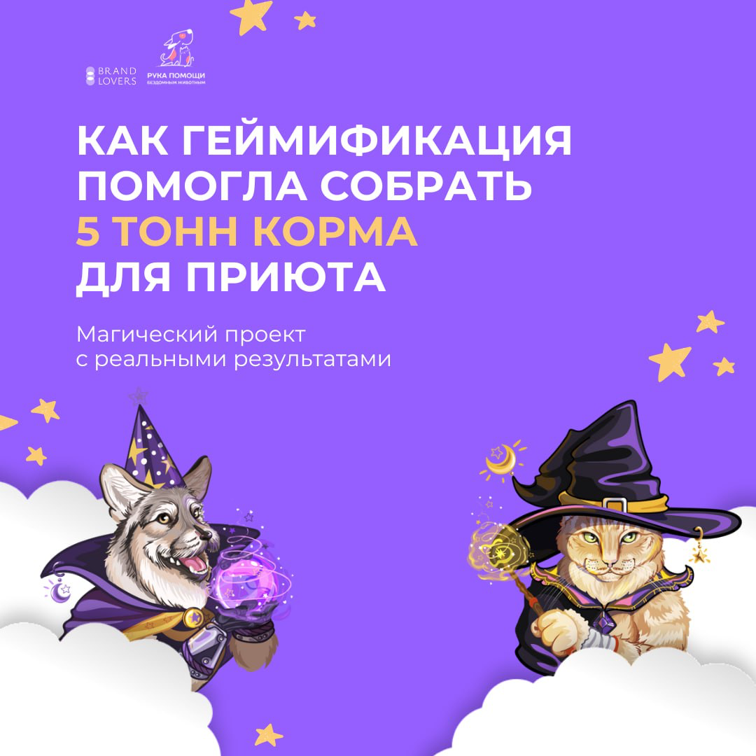 Геймификация в благотворительном проекте | Сетка — социальная сеть от hh.ru