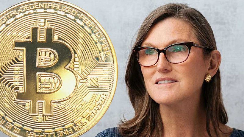 Кэти Вуд прогнозирует, что к 2030 году биткоин будет стоить $1 млн | Сетка — социальная сеть от hh.ru
