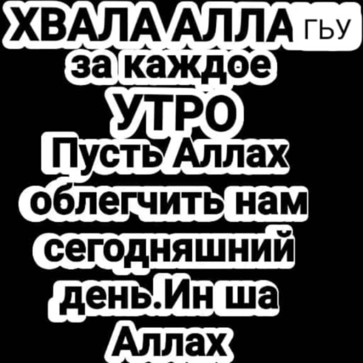 Рашит Чамсединов