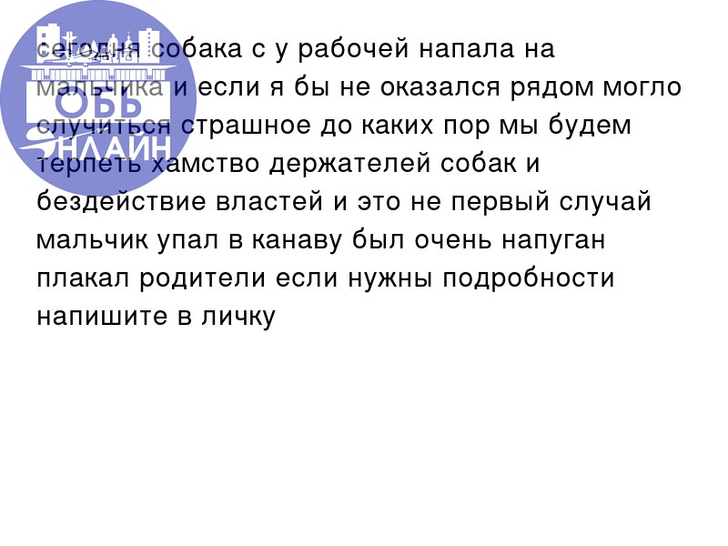 ↗ сегодня собака с у рабочей напала на мальчика и если я бы не оказался рядом могло случиться страшное до каких пор мы будем терпеть хамство держателей собак и бездействие властей и это не первый случ... | Сетка — социальная сеть от hh.ru