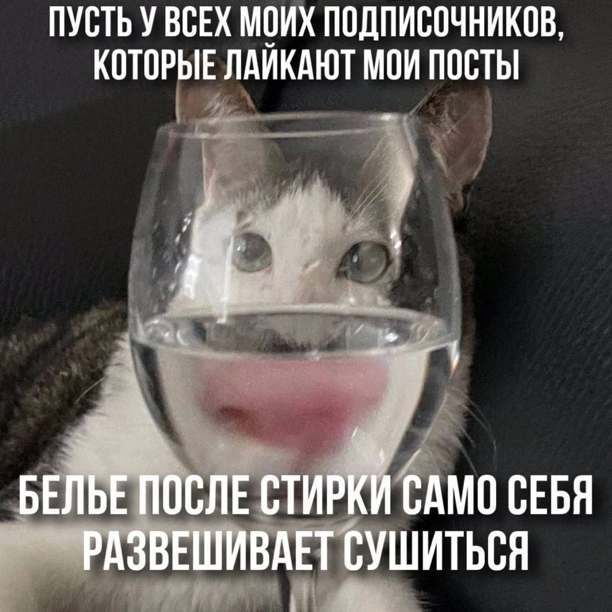 Только не вебинары… только не про работу! | Сетка — социальная сеть от hh.ru