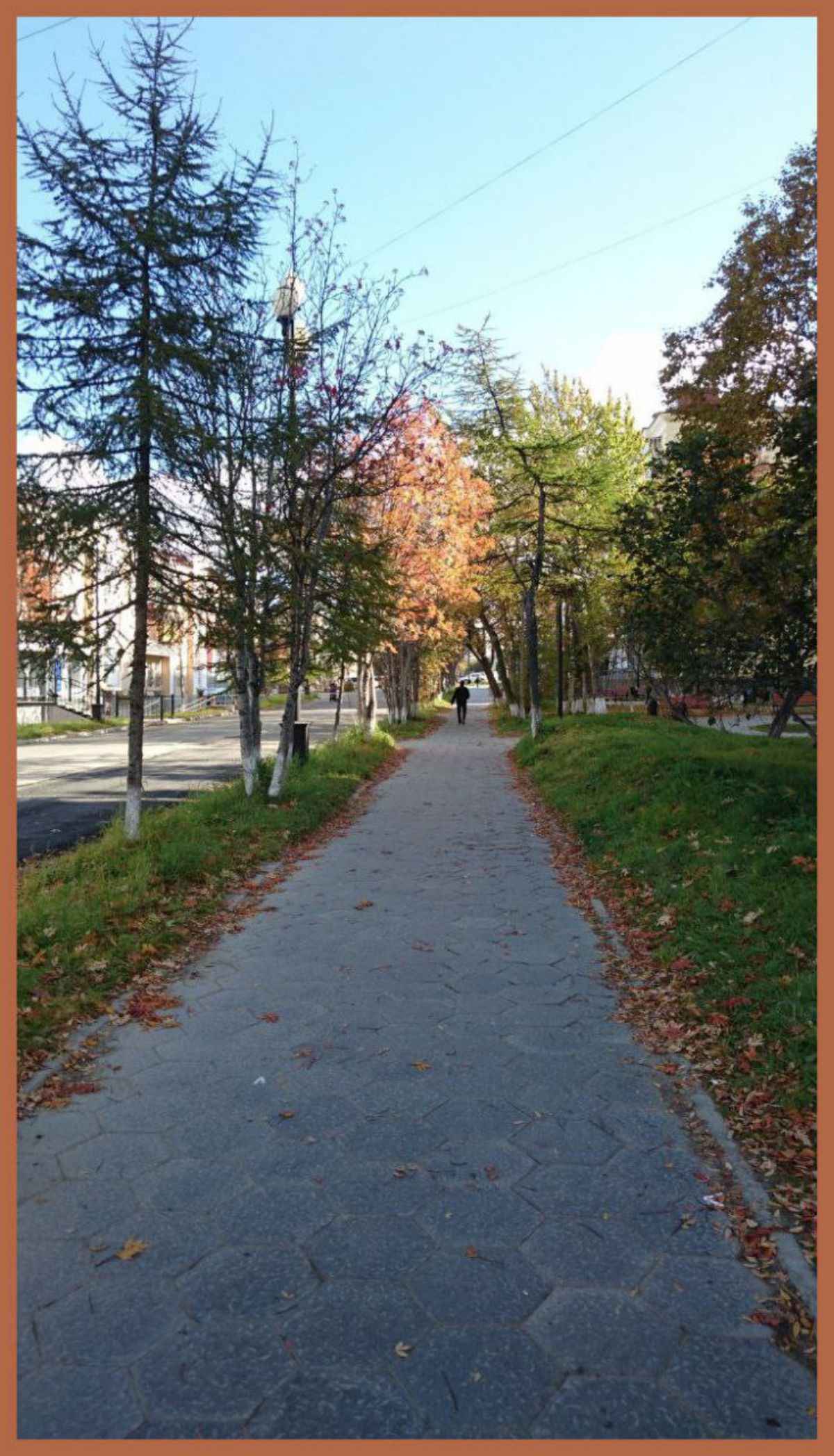 Ах эта листва! / Oh, those leafs! | Сетка — социальная сеть от hh.ru