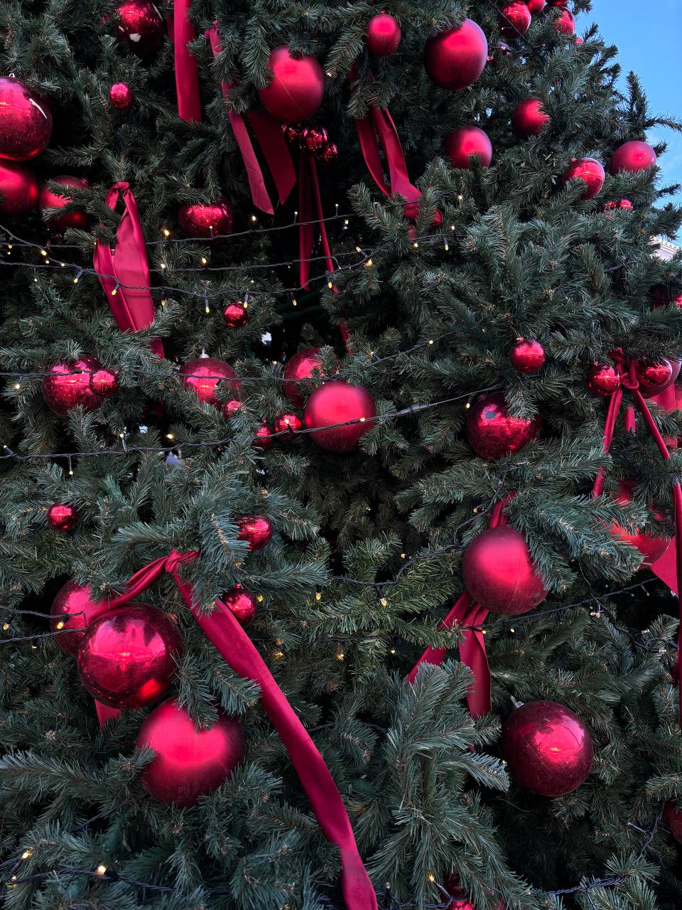 Ожидание праздника прикольнее, чем сам праздник🎅🏼
В прошлом году начиная с сентября до февраля у меня было 1-2 мероприятия в неделю, где я вела разборы фильмов, устраивала квартирники и прочие меропри... | Сетка — социальная сеть от hh.ru