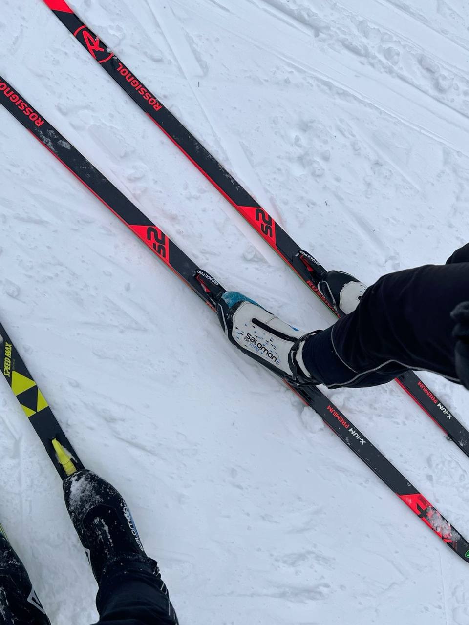 ⛷️Бесплатная лыжно-биатлонная трасса в «Лужниках» откроется 2 января
Трасса протяженностью 2,5 км будет расположена на парковке стадиона Южного спортивного ядра олимпийского комплекса «Лужники»
Трасса... | Сетка — социальная сеть от hh.ru