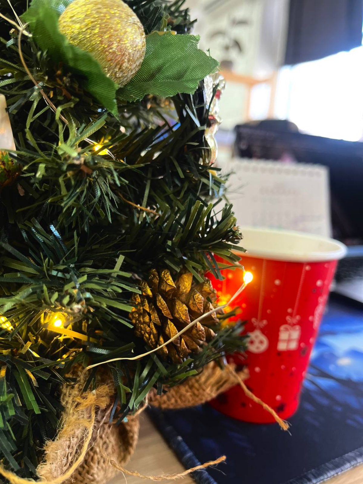 🎄Новый год все ближе, и мы не удержались — украсили офис GRCH. В праздничной атмосфере работать стало еще уютнее.
А вы уже украсили рабочее место? | Сетка — социальная сеть от hh.ru