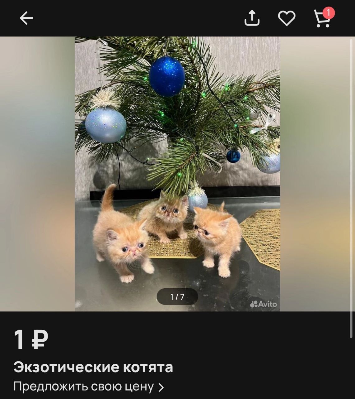 Эти котята = я в последнюю рабочую неделю года | Сетка — социальная сеть от hh.ru