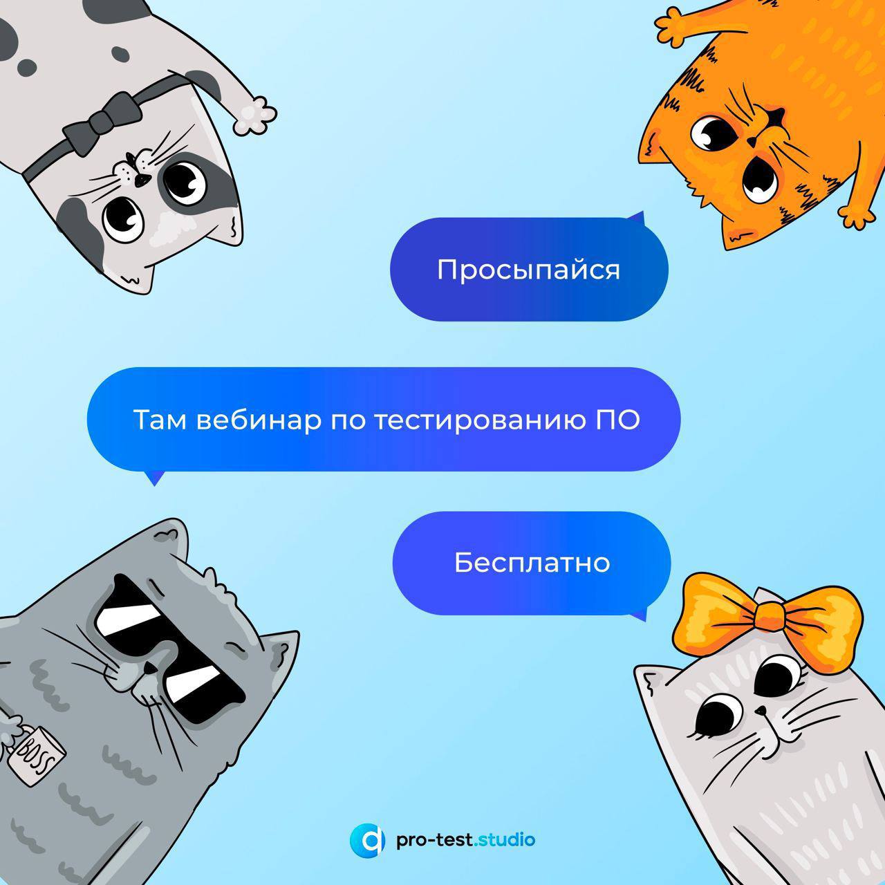 Команда Pro-test | Сетка — социальная сеть от hh.ru