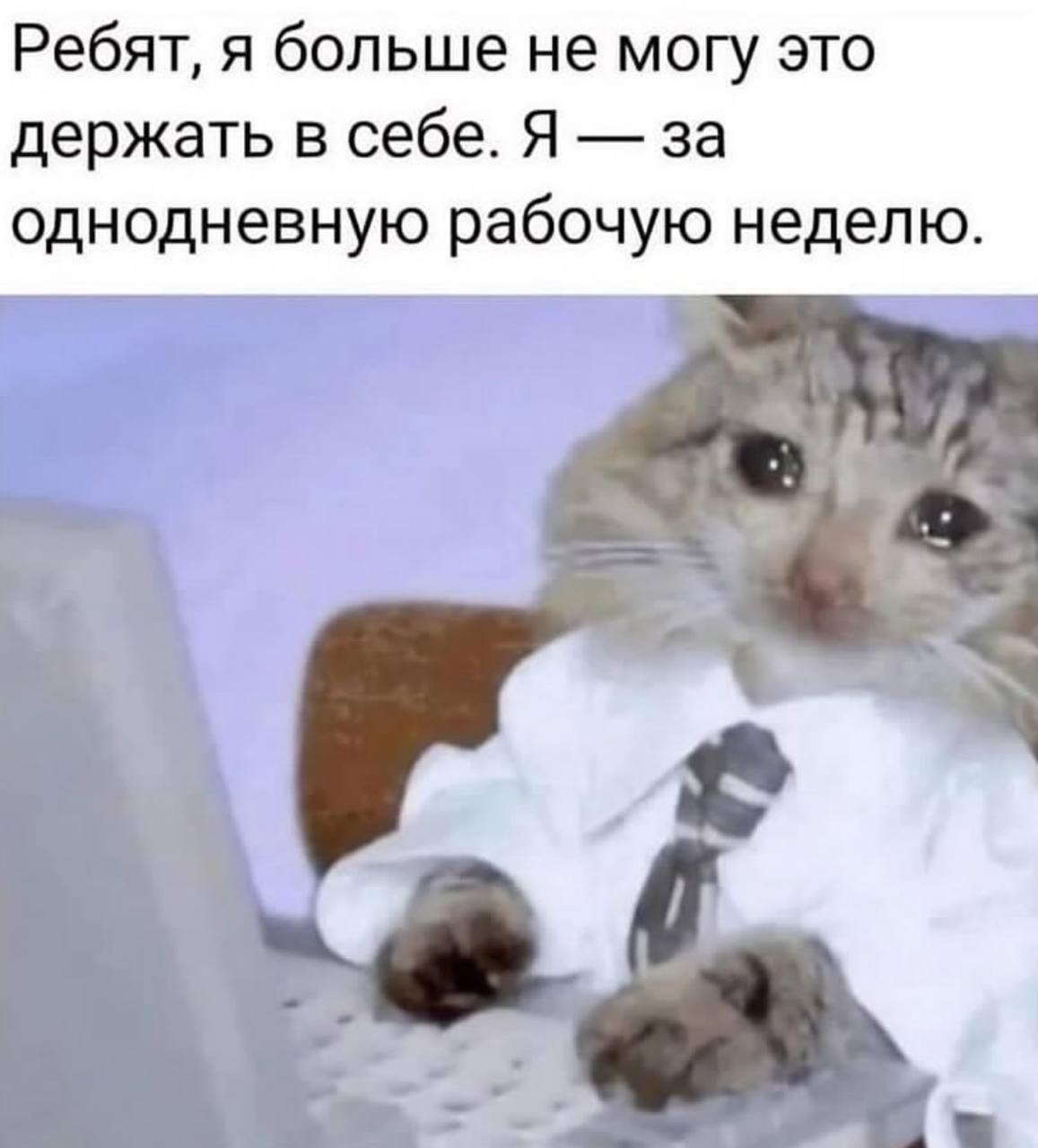 Мы, когда видим, что суббота - рабочий день 🥲 | Сетка — социальная сеть от hh.ru