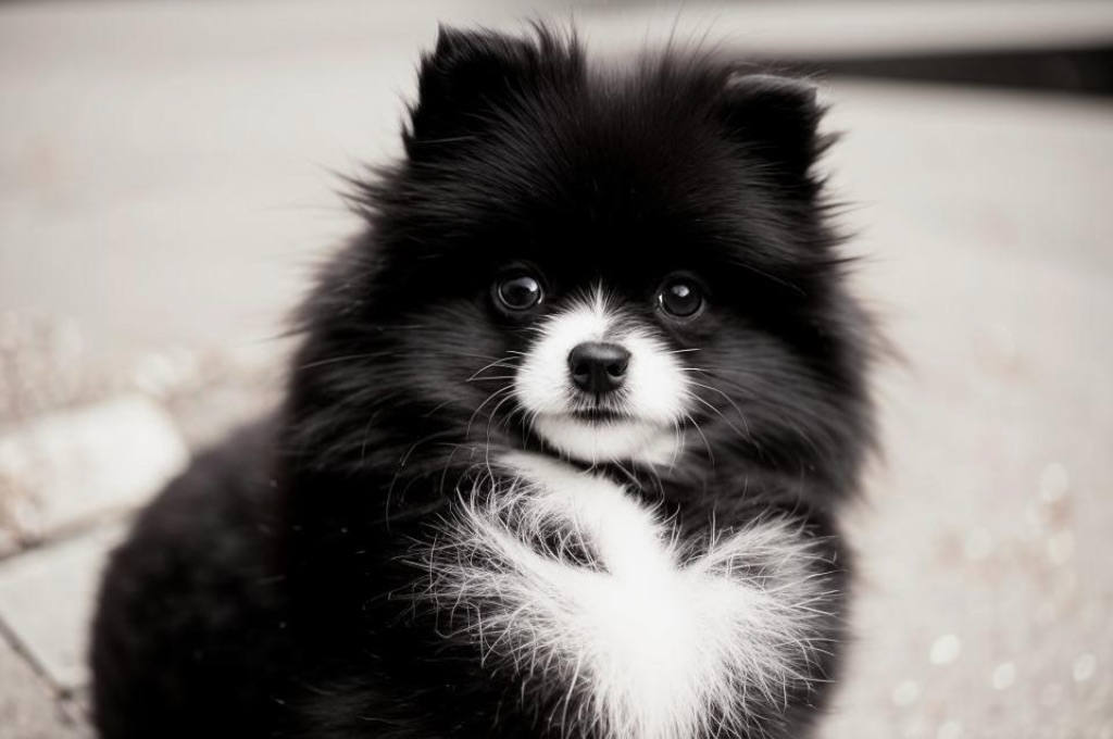 Время зажигать! 💫🎄 | Сетка — социальная сеть от hh.ru