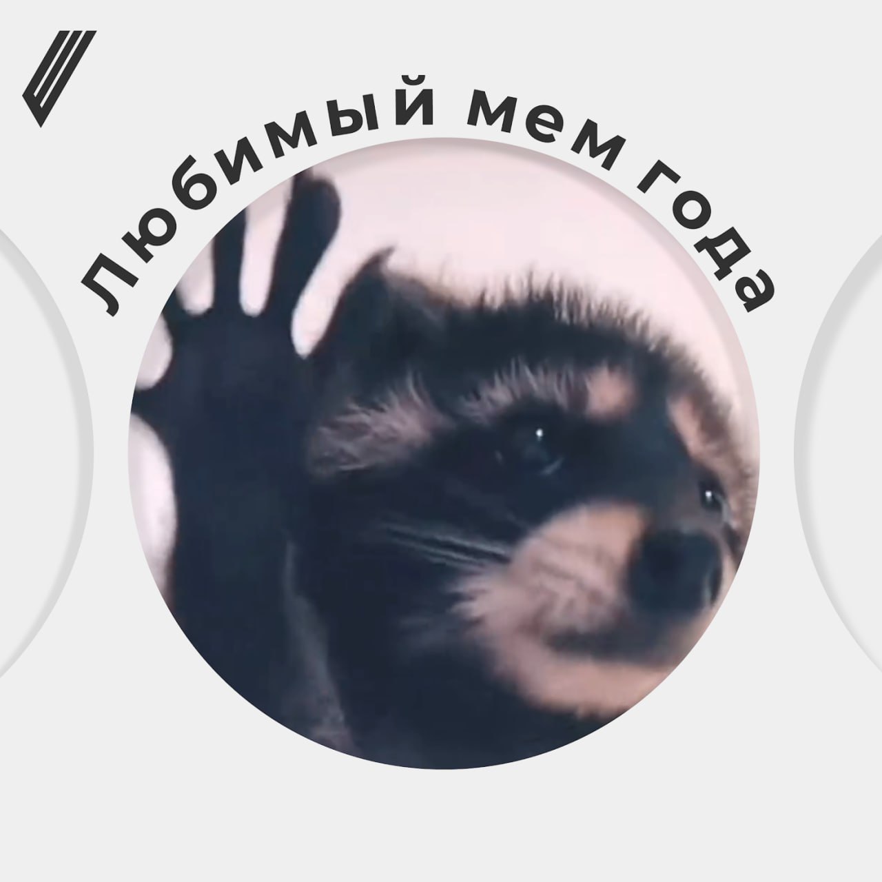 ❤️ Выбрали «Мем года — 2024»
Вы знали, что на TikTok Awards выбрали самый запоминающийся мем 2024 года? Победу забрал милейший енот, который танцует под песню Pedro | Сетка — социальная сеть от hh.ru
