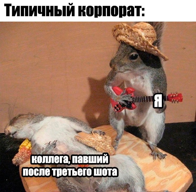 ➡️ отправь в телеге мем коллеге | Сетка — социальная сеть от hh.ru