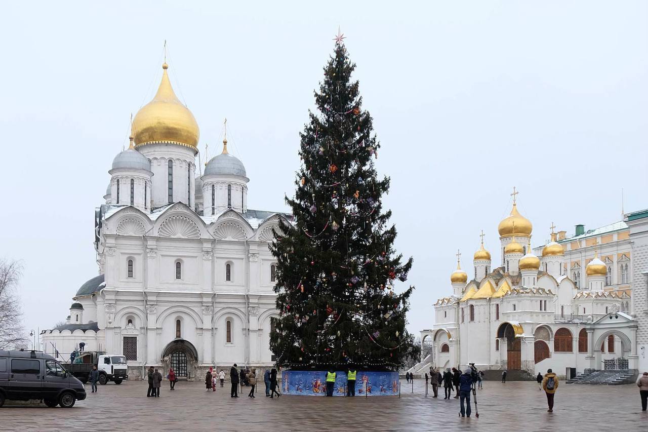 🎄Главную новогоднюю елку страны установили и украсили на Соборной площади Кремля
📲Подпишитесь наВдвижении | Сетка — социальная сеть от hh.ru