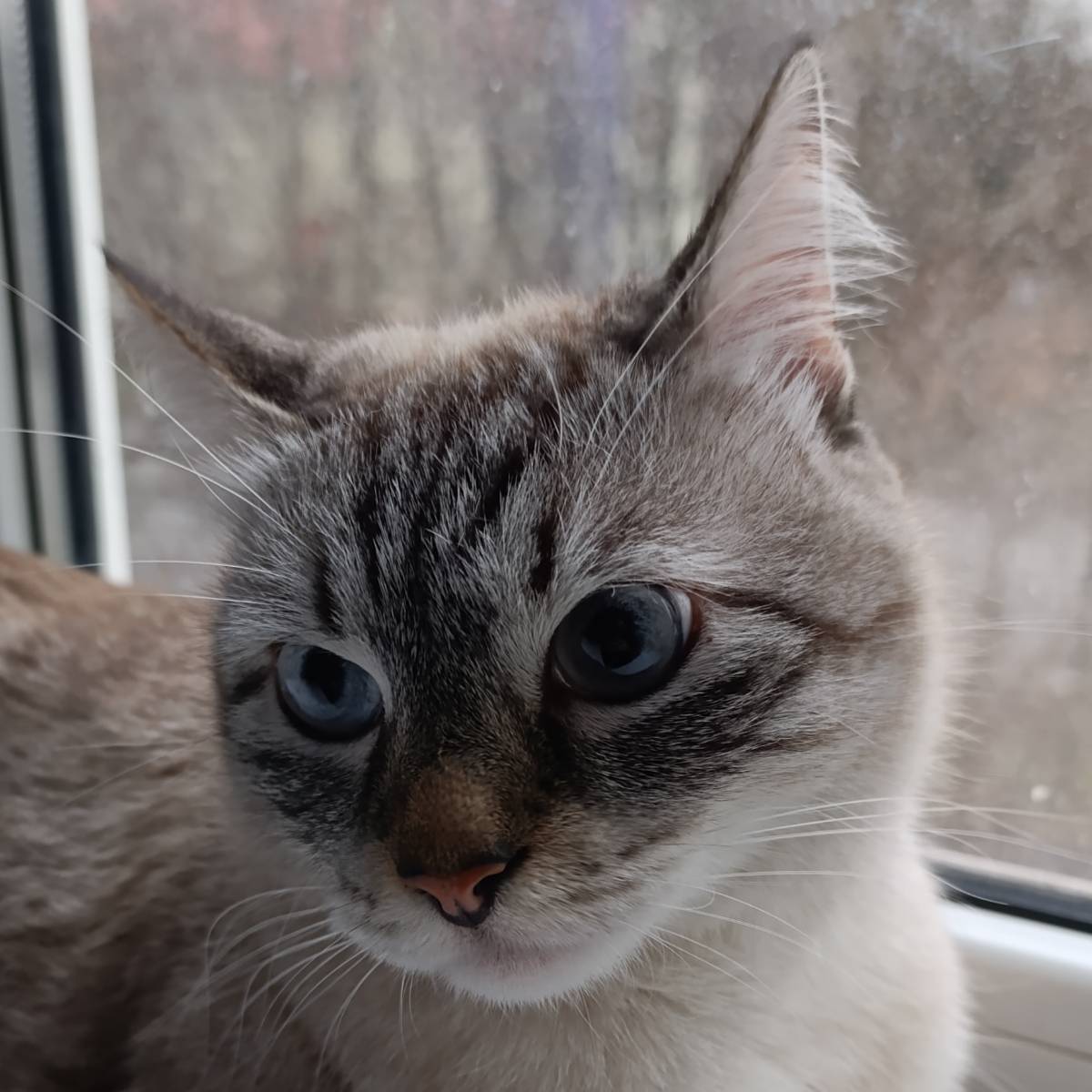 Сергей Петров