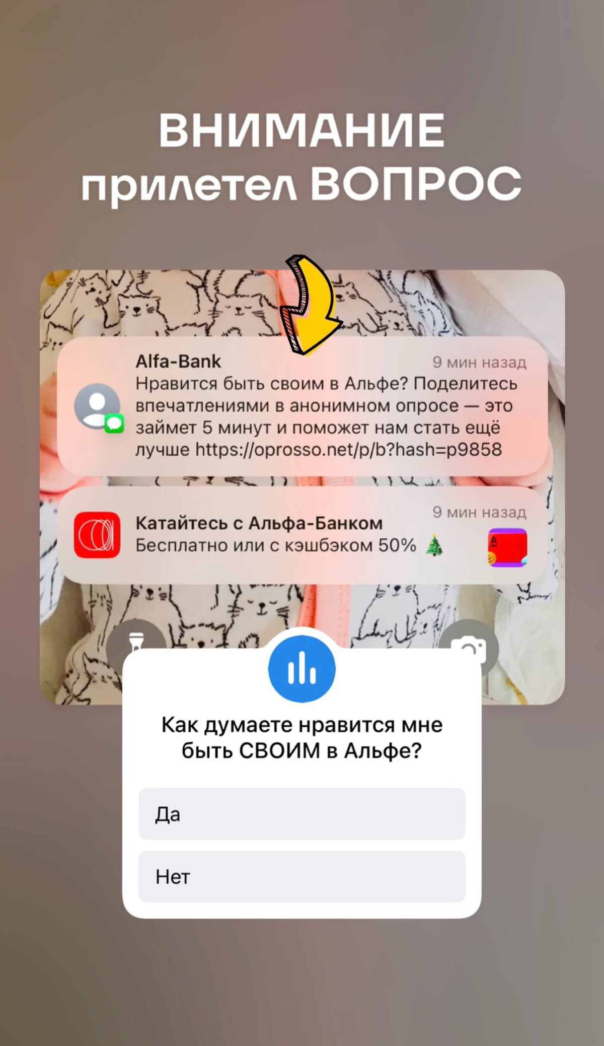 Сегодня мне прилетел вопрос… а нравится ли мне быть СВОИМ?!
Для меня очень странный вопрос, тут же все очевидно…
А Вам бы не понравилось разве
1. Зарабатывать без вложений
2.Работать официально
3 | Сетка — социальная сеть от hh.ru