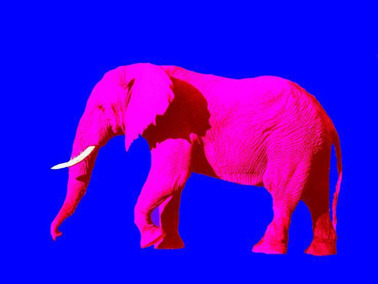 Парадокс розового слона и его влияние на наши решения
Попробуйте представить себе розового слона, его форму, вес, рост. Представили? А теперь постарайтесь забыть о нём | Сетка — социальная сеть от hh.ru