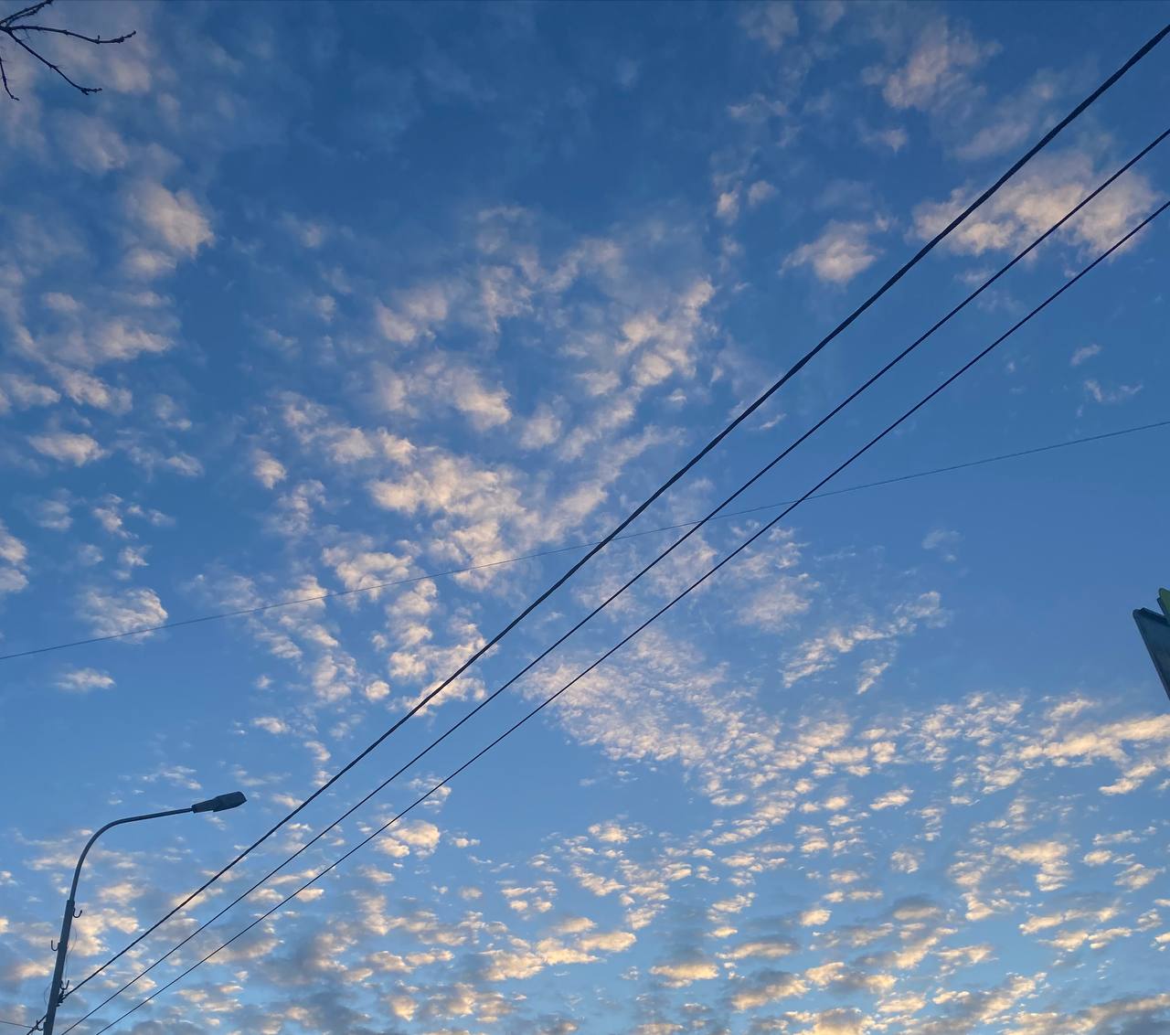 ⛅️Облачное утро в Ставрополе
До Нового года осталось 7 дней!
@stavdvor | Сетка — социальная сеть от hh.ru