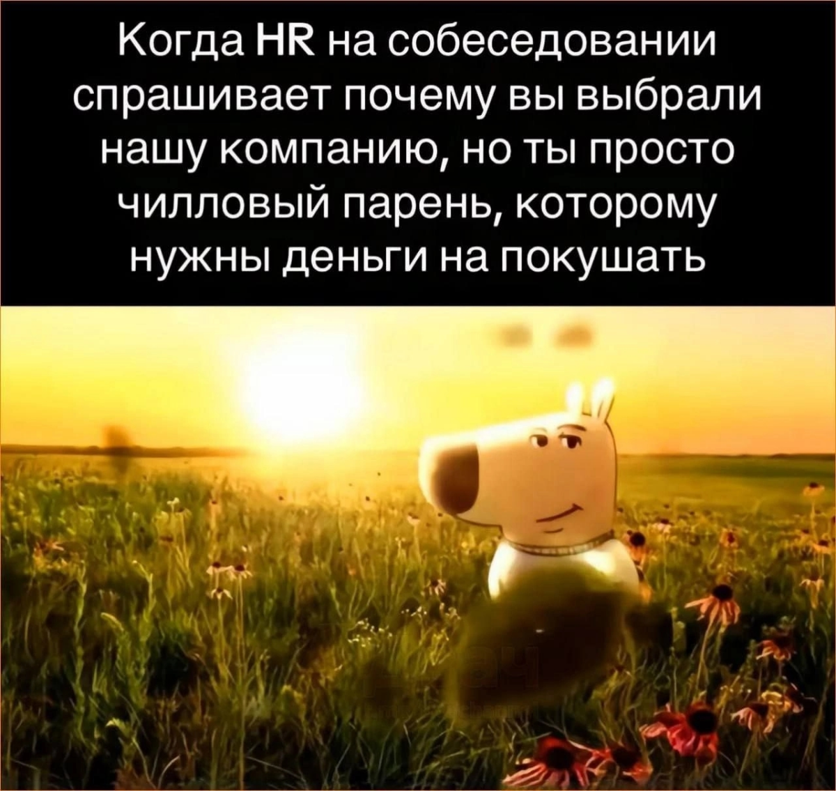 Сетка — социальная сеть от hh.ru