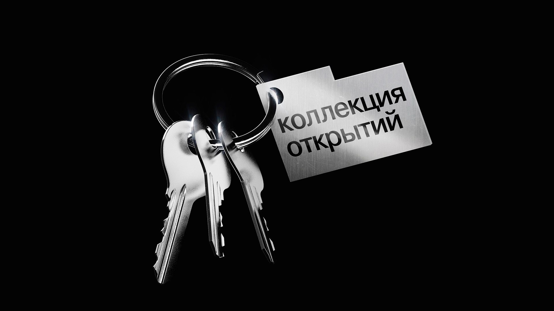 Выставка «Коллекция»
Дизайн: Анастасия Тоцкая | Сетка — социальная сеть от hh.ru