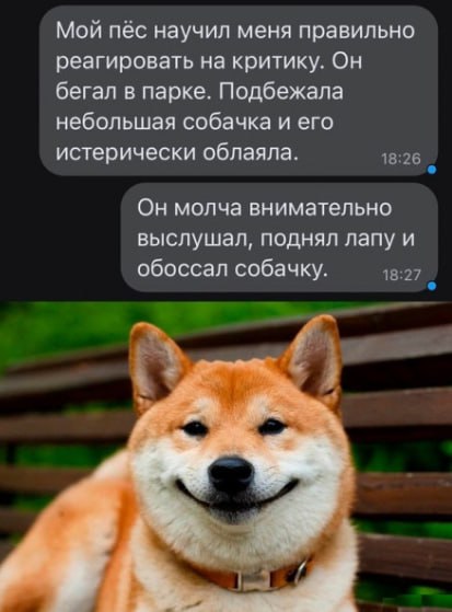 Как не обижаться на критику? даже если она во благо,ага
Отвечает моя рациональная субличность:
«Пожалуй, запрет на критику записан только в моей голове | Сетка — социальная сеть от hh.ru