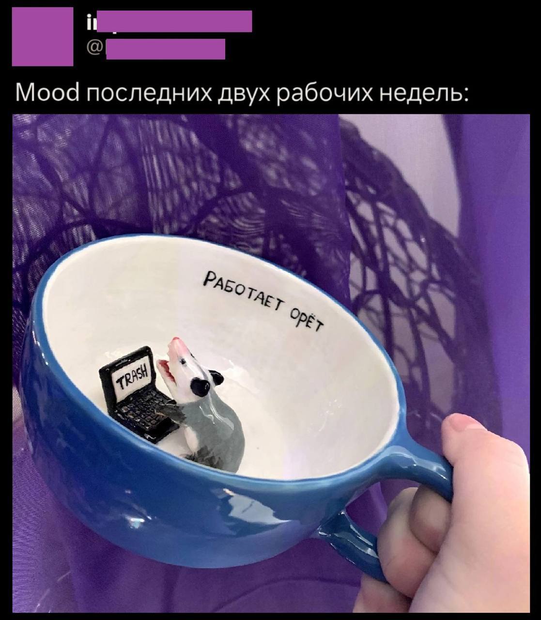 «А есть у вас друзья на работе и коллеги, которые отправляют мемы, понятные только вам?» - читаю я в канале у Лены Шестопаловой.
И такой мем прикладывается: нежный, уютный, про взаимоподдержку | Сетка — социальная сеть от hh.ru