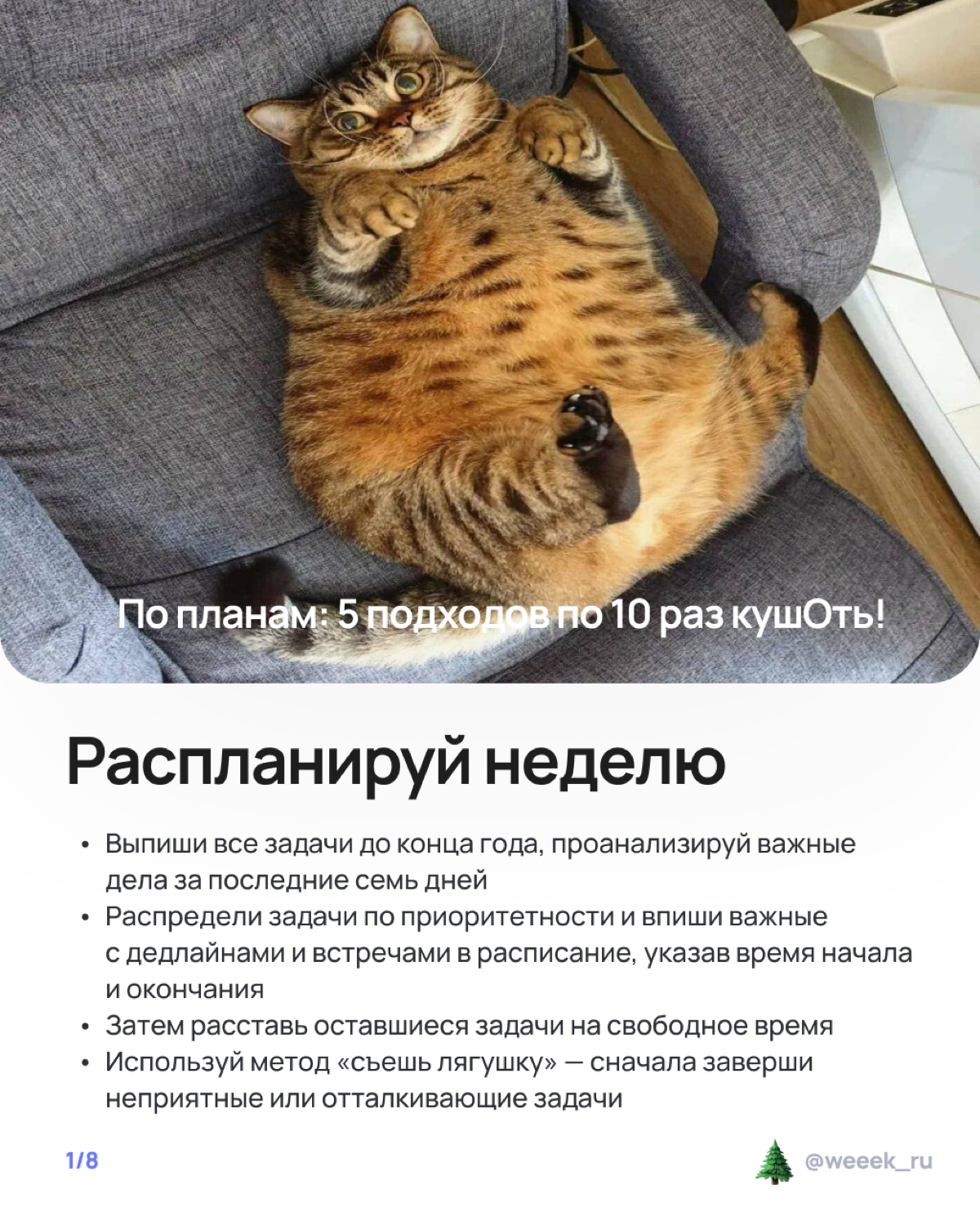 Праздники на носу, а работа — на всех остальных частях тела? 🫠 Лови карточки о том, как не сойти с ума и организовать неделю так, чтобы и дедлайны закрыл, и салатик нарезал. Вдох, выдох, листай! | Сетка — социальная сеть от hh.ru