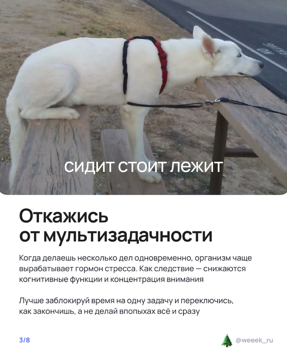 Праздники на носу, а работа — на всех остальных частях тела? 🫠 Лови карточки о том, как не сойти с ума и организовать неделю так, чтобы и дедлайны закрыл, и салатик нарезал. Вдох, выдох, листай! | Сетка — социальная сеть от hh.ru