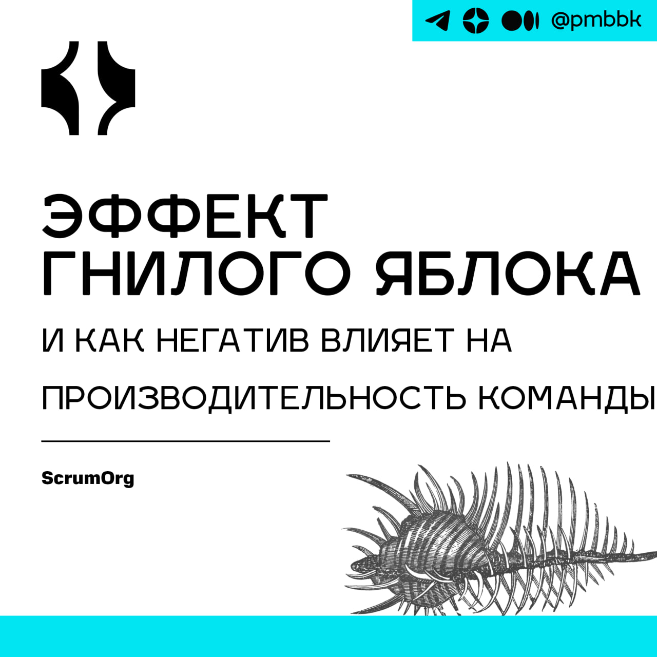 🤬 Эффект гнилого яблока и как негатив влияет на производительность команды
Эффект плохого яблока может сильно саботировать работу и развитие команды | Сетка — социальная сеть от hh.ru