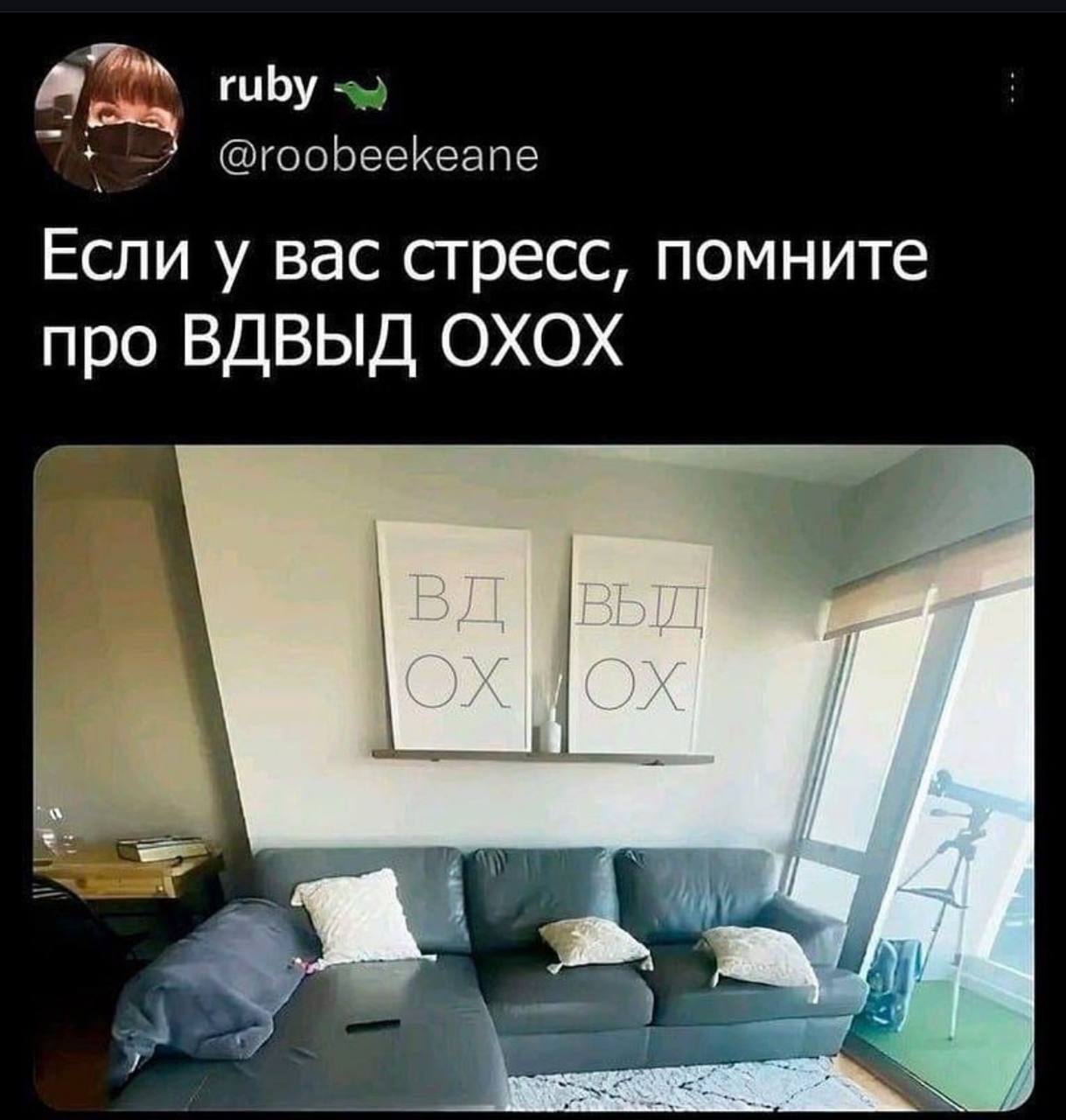Я первый год живу свою адекватную жизнь… и честно говоря я сейчас в ахуе, как люди добровольно и с радостью подключаются к эгрегору звездеца, например, даже новогоднего | Сетка — социальная сеть от hh.ru