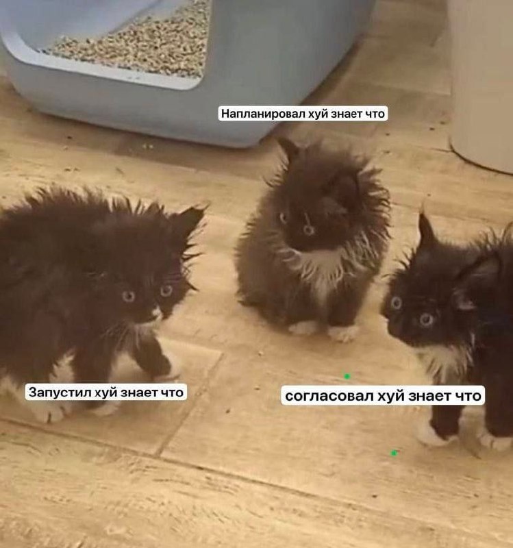 Фокусируйся на ценности для пользователей
Одна из главных вещей, о которых говорит любая книга по тайм-менеджменту, — не нужно делать то, что делать не нужно | Сетка — социальная сеть от hh.ru