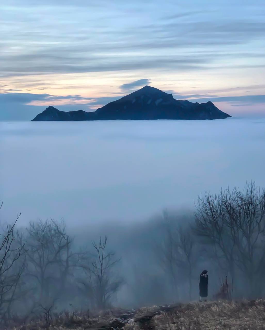 🗻Гора Бештау разделяет небо и землю
До Нового года осталось 6 дней!
📷@artemmeletov
@stavdvor | Сетка — социальная сеть от hh.ru