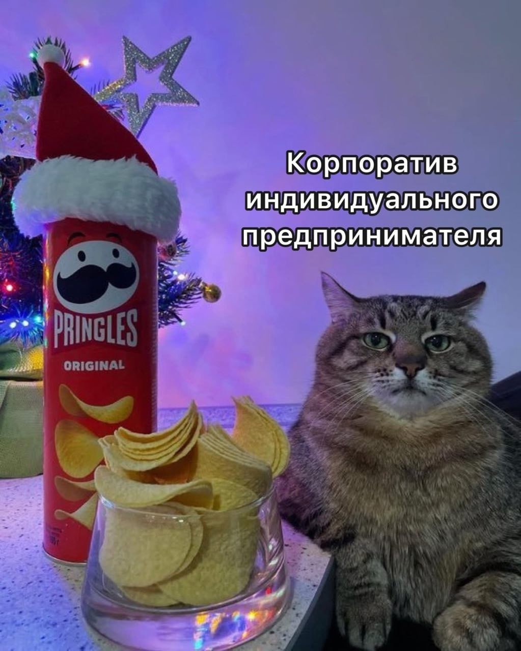 Сетка — социальная сеть от hh.ru