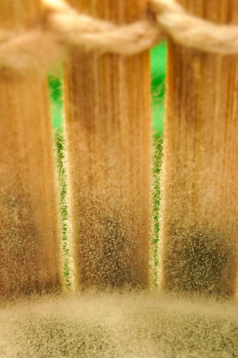 Сыр с плесенью или плесень с сыром? | Сетка — социальная сеть от hh.ru