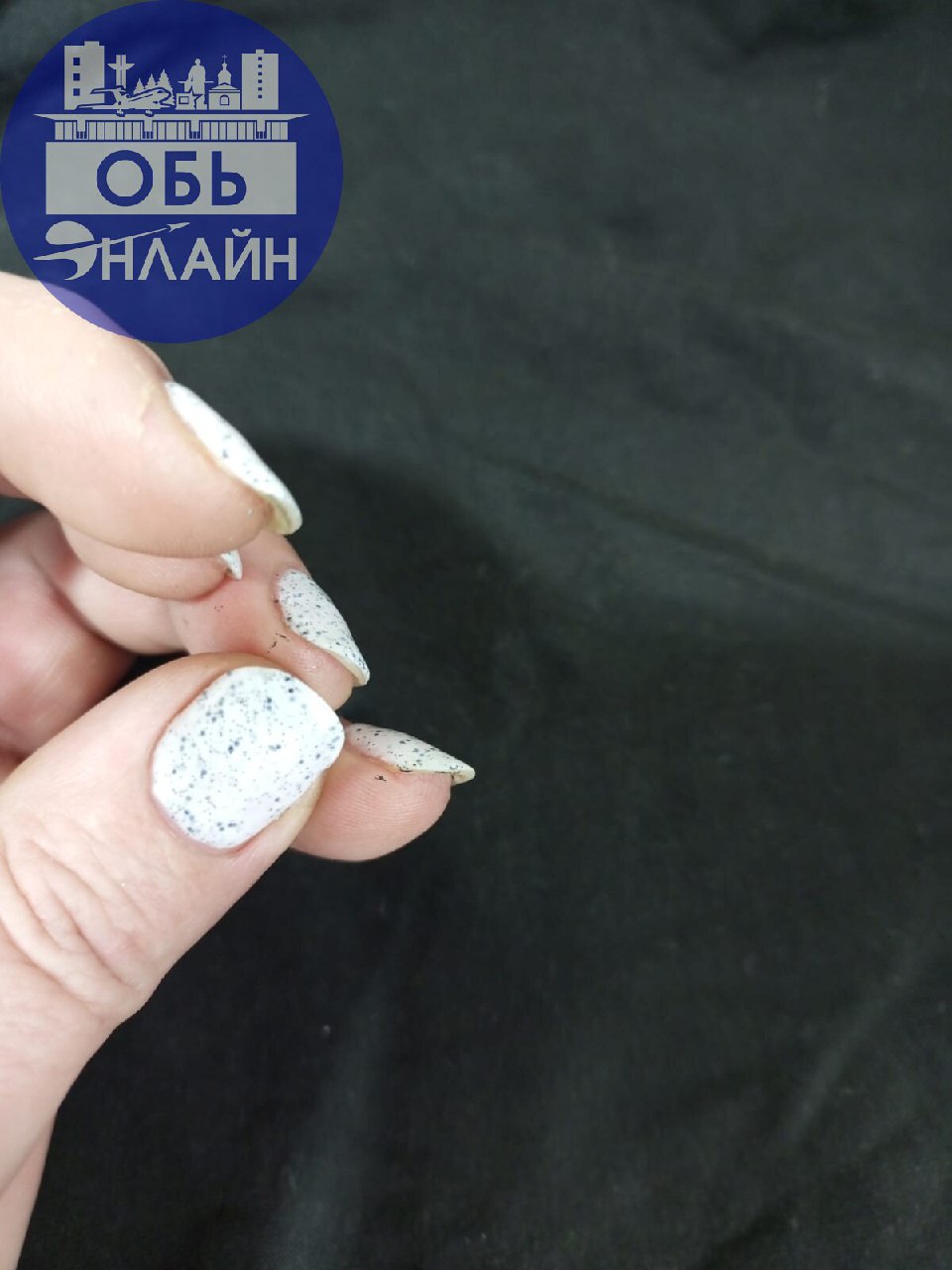 ↗ Вот такой маникюр сегодня сделали. Ужас!!!!! 😰 в парикмахерской по адресу Толмачево ул пер Усадебный 29 девочки не делайте там маникюр не тратьте свои нервы и деньги | Сетка — социальная сеть от hh.ru