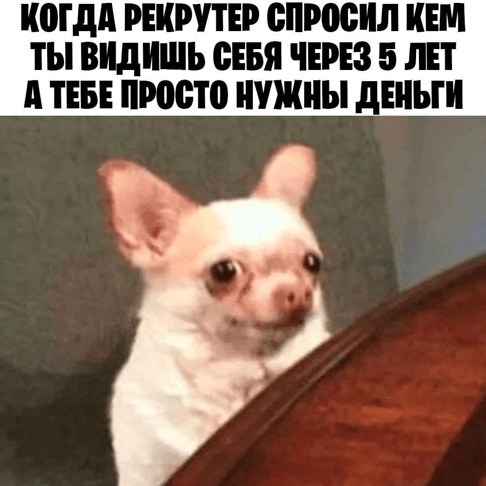 ➡️ отправь в телеге мем коллеге | Сетка — социальная сеть от hh.ru