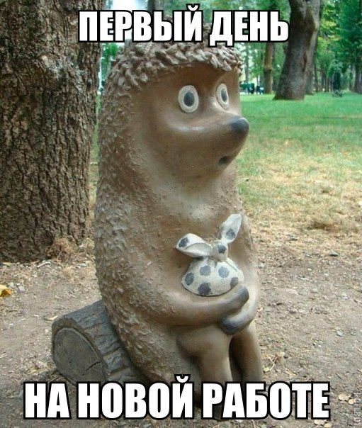 Новый разработчик и «синдром наследия» 🌀
Приходит новый разработчик в компанию. Первое, что он видит — это, скорее всего, уже написанный код какого-нибудь работающего проекта компании | Сетка — социальная сеть от hh.ru