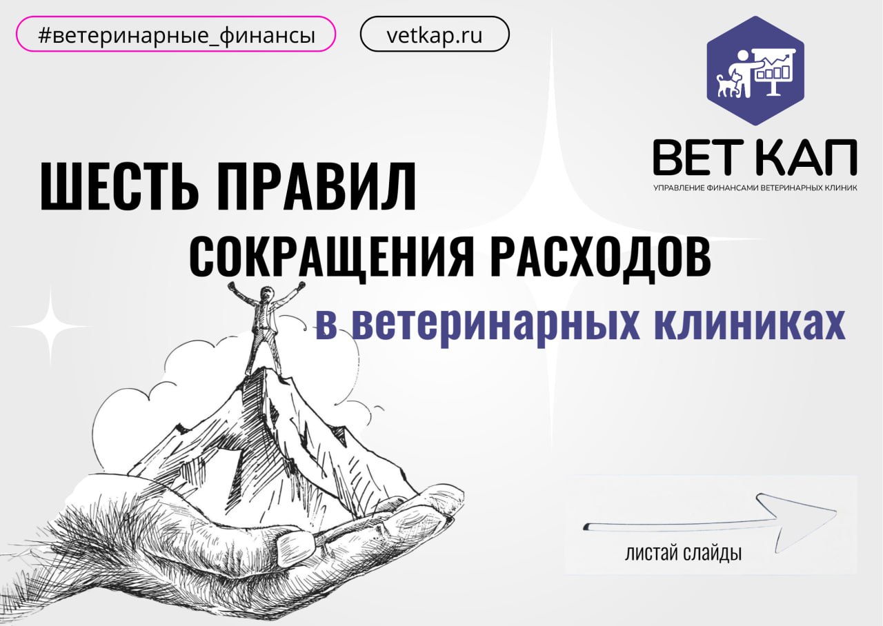 💡 Как избежать проблем с финансами при сокращении расходов в ветеринарных клиниках | Сетка — социальная сеть от hh.ru