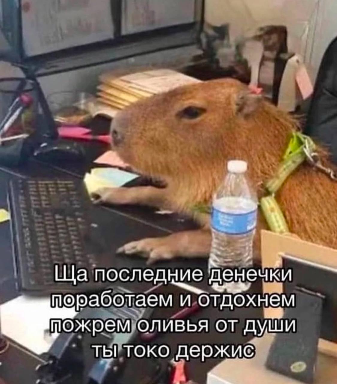 Коллеги, еще чутчут | Сетка — социальная сеть от hh.ru