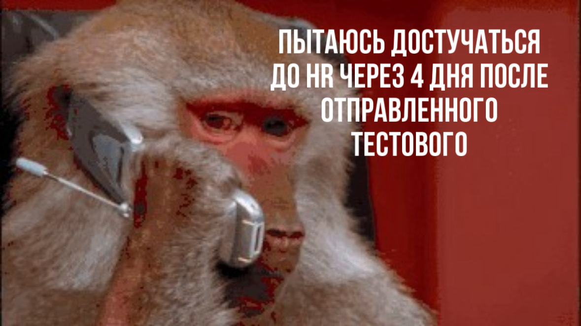 Будто общаюсь с бывшим: гостинг от HR | Сетка — социальная сеть от hh.ru