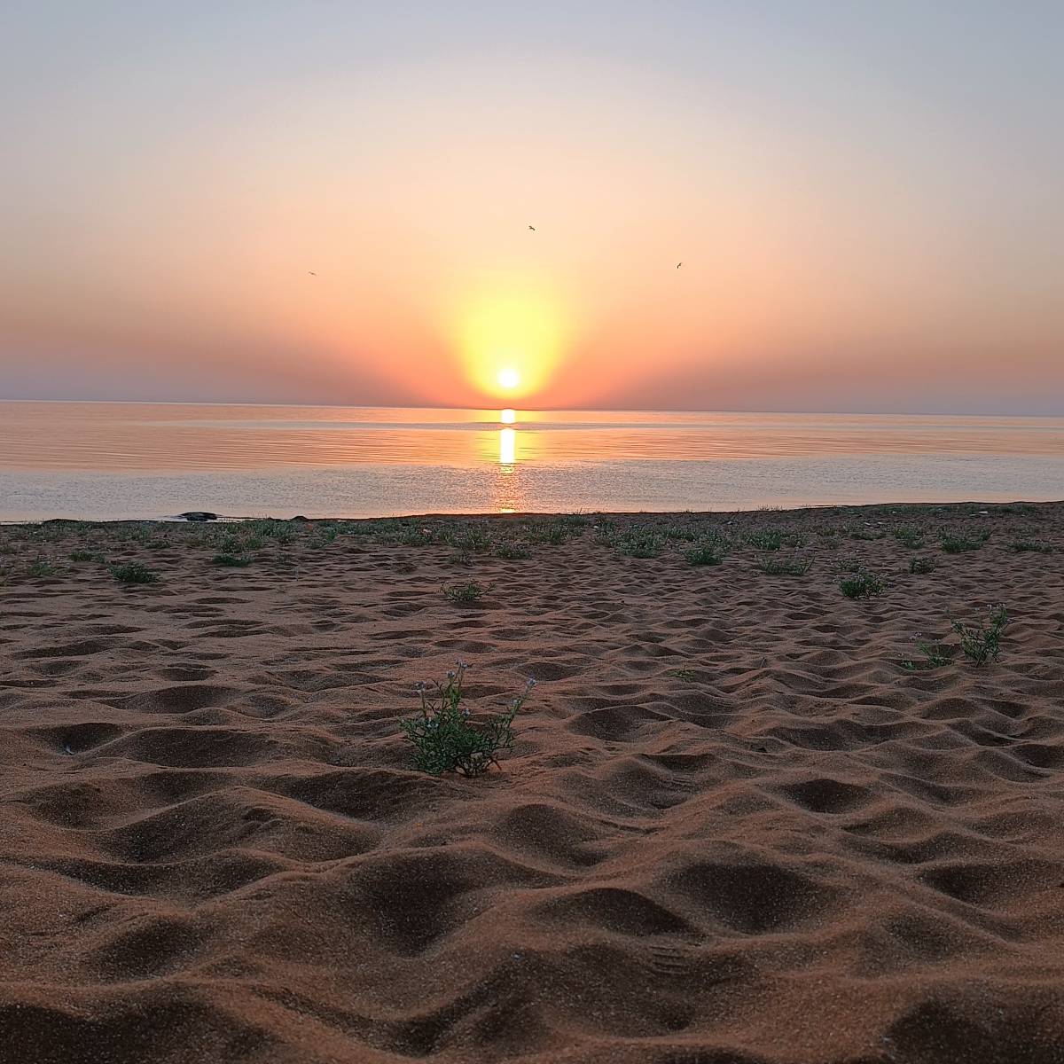 Эли И-К | Сетка — социальная сеть от hh.ru