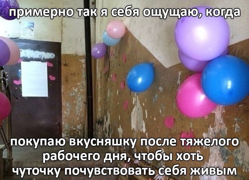 ➡️ отправь в телеге мем коллеге | Сетка — социальная сеть от hh.ru