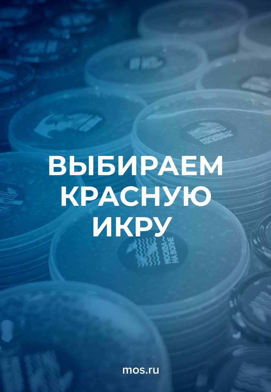 🦀На что обратить внимание при выборе деликатесов?
Специалисты госветслужбы поделилисьполезными советами по выбору рыбных деликатесов
📲Подпишитесь на Вдвижении | Сетка — социальная сеть от hh.ru